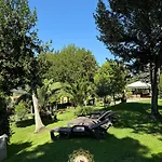 Il Cavalier D'arpino ホテル アルピーノ