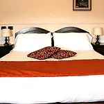 Il Cavalier D'arpino 3* アルピーノ