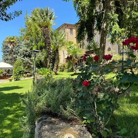 Il Cavalier D'arpino