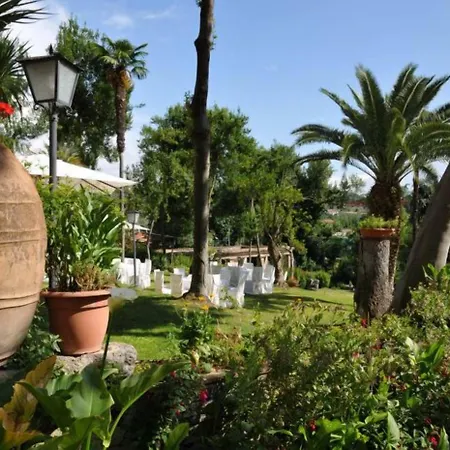 Il Cavalier D'arpino